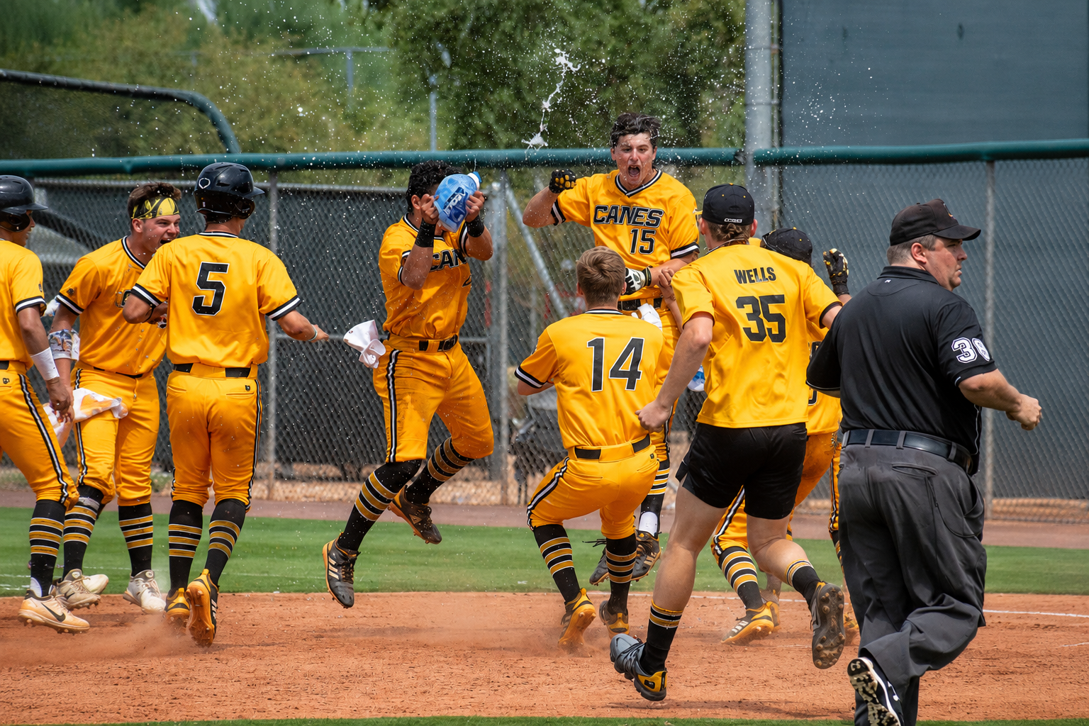 Canes players celebrating together at home plate